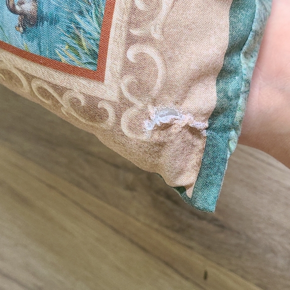 Pillow & Cover - Picture 4 of 5